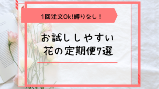 魔法の花瓶 加盟店一覧 花の定期便ブログ